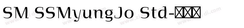 SM SSMyungJo Std字体转换